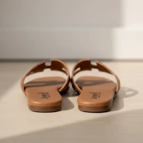 Pair of brown Flipper on a white surface